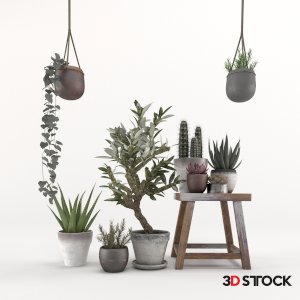 Plant Set 2
