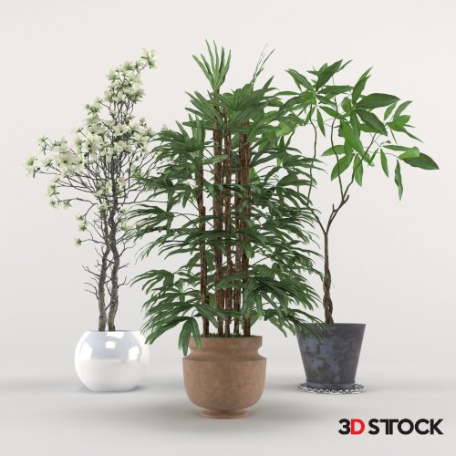 Plant Set 5